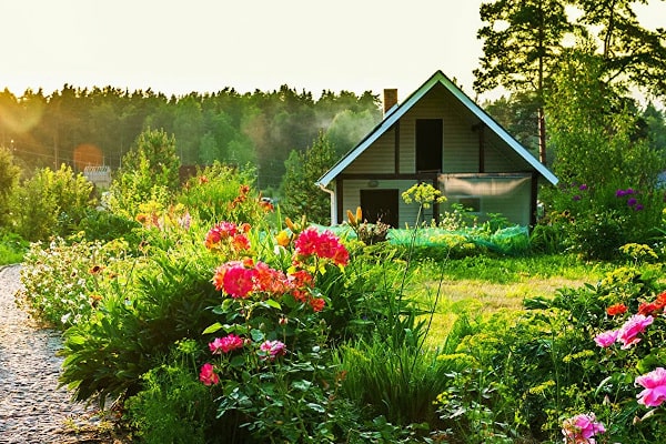 Дача и отдых