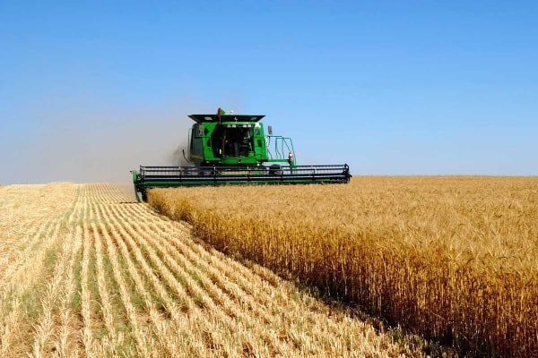 Сельское хозяйство